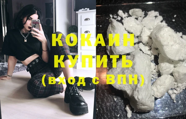 гидропоника Дмитриев