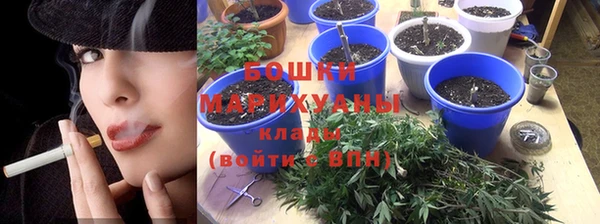 гидропоника Дмитриев