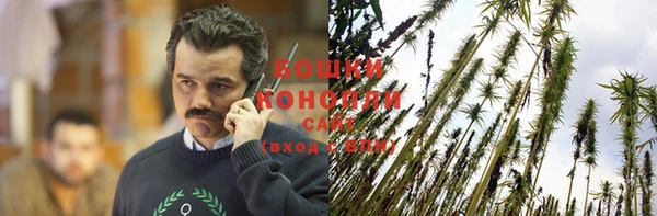 гидропоника Дмитриев