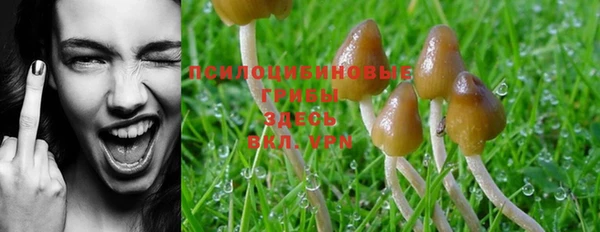 ешки Ельня