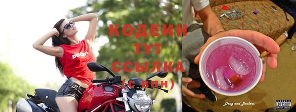 гидропоника Дмитриев