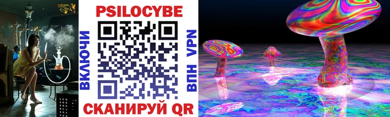 Псилоцибиновые грибы Psilocybe  Чебаркуль 